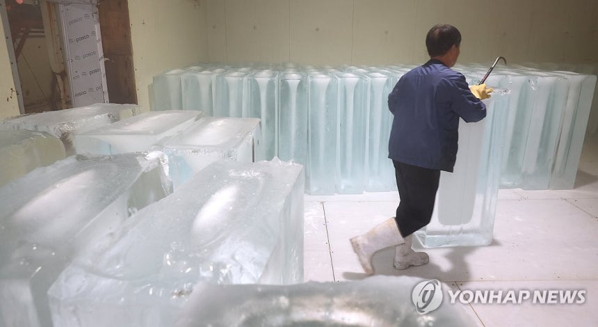 폭염 속 분주한 얼음공장
(부천=연합뉴스) 임순석 기자 = 폭염이 이어지고 있는 8일 경기 부천시 오정구 한 얼음 공장에서 직원이 생산한 얼음을 옮기고 있다. 2025.7.8 soonseok02@yna.co.kr