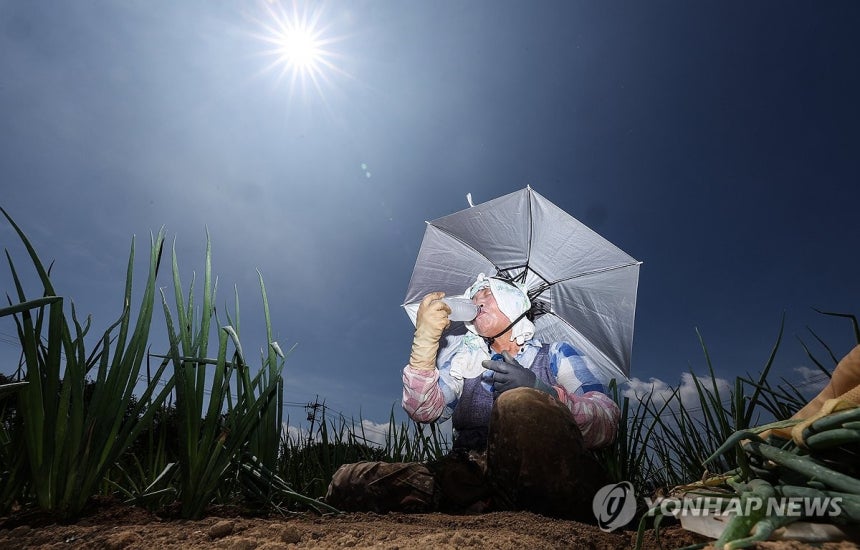 얼음물 마시며 폭염 속 밭일
(고령=연합뉴스) 윤관식 기자 = 무더위가 계속되며 폭염특보가 발효 중인 2일 경북 고령군 다산면의 한 밭에서 파 모종을 심던 농민이 얼음물을 마시며 더위를 식히고 있다. 2025.7.2