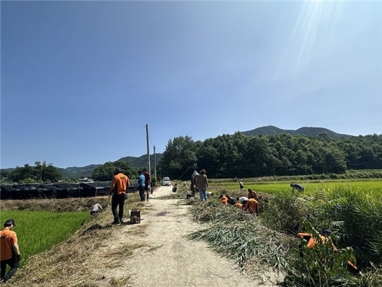 사고 현장 수색 [보은소방서 제공. 재판매 및 DB금지]