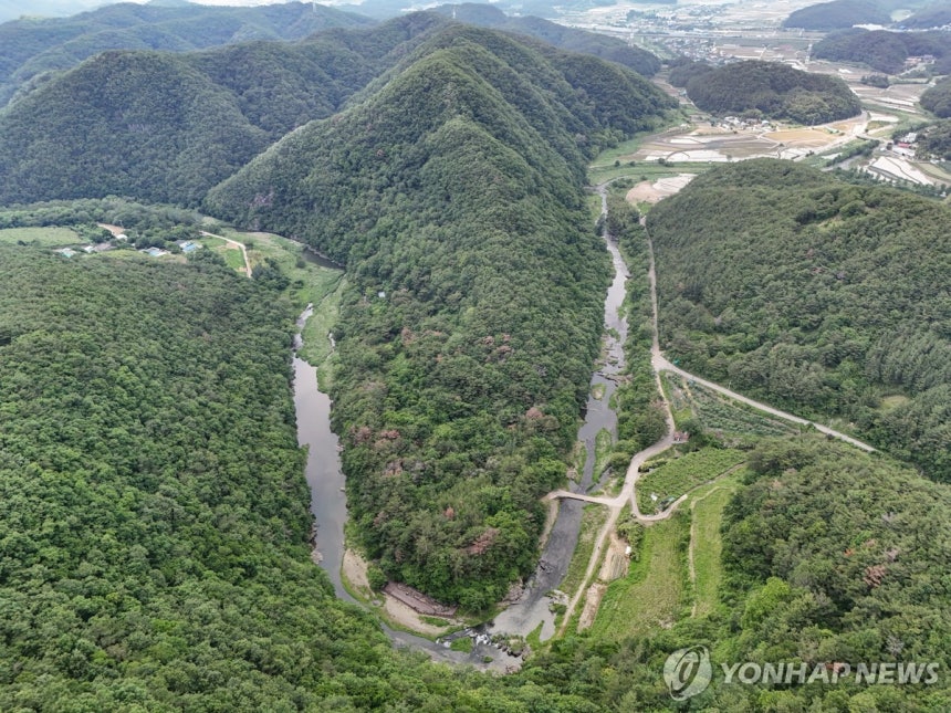 천전리 명문과 암각화 일대 드론 사진
    (울산=연합뉴스) 임헌정 기자 = 27일 울산광역시 울주군 언양읍 천전리 명문과 암각화 일대 드론 사진. 2025.5.27 kane@yna.co.kr