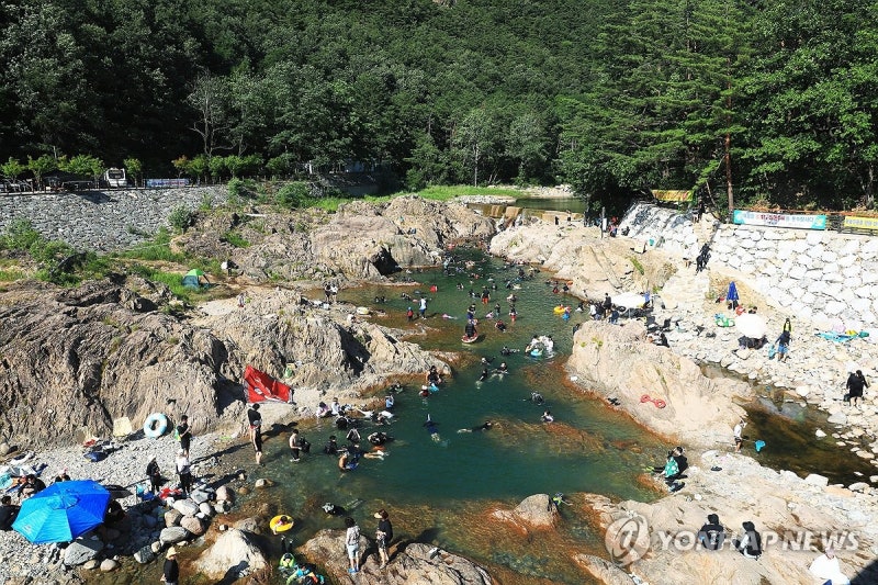'<b>백담계곡</b>으로 <b>피서</b>왔어요'