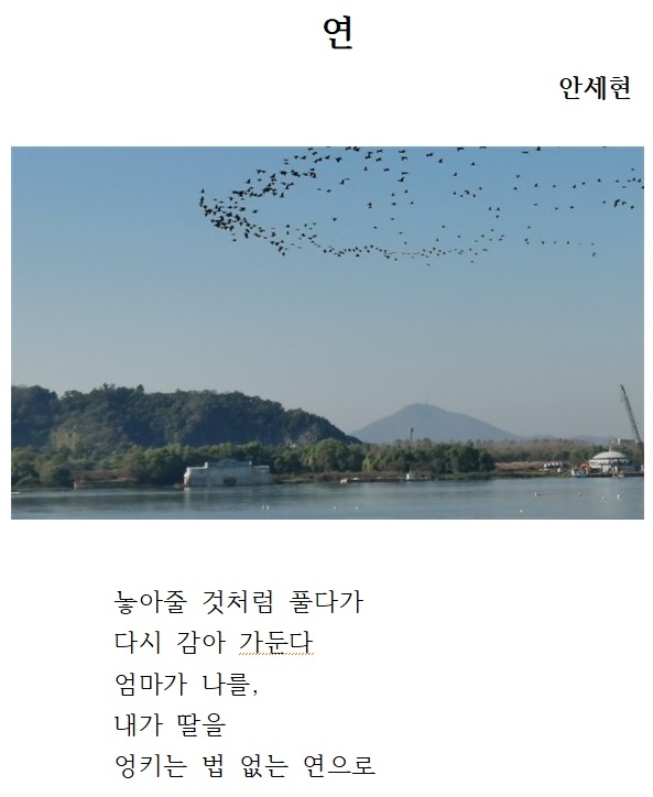 오장환 디카시 신인문학상 수상작 [보은군 제공. 재판매 및 DB금지]