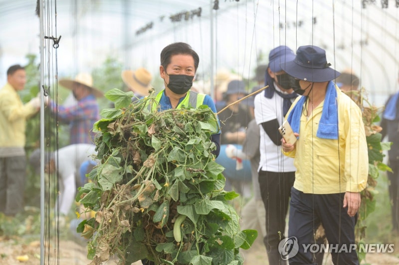 <b>수해</b> 농가 <b>복구</b> 돕는 <b>정청래</b> 당대표