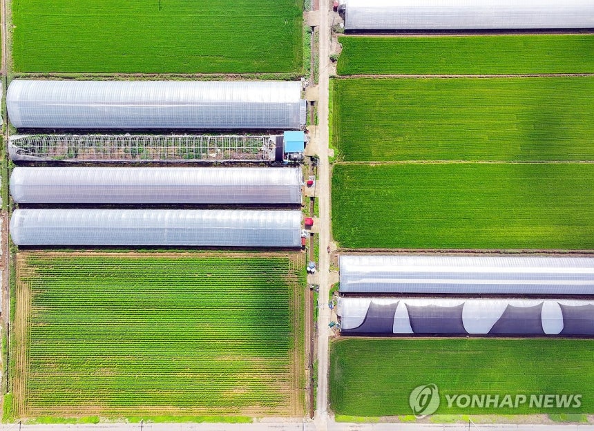 Greenhouse and Field. [Yonhap News File Photo]
