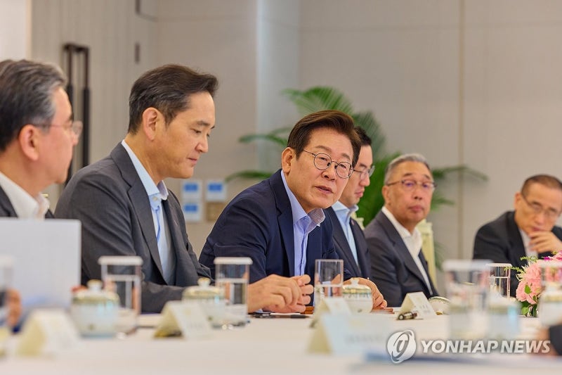 李<b>대통령</b>, <b>기업인</b>들에 "관세협상 애써줘 감사…방미 성과 당부"