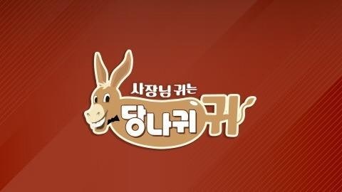 "<b>도경완</b>은 '<b>서브</b>'" 발언 <b>논란</b> 일파만파…'사당귀' 제작진 사과