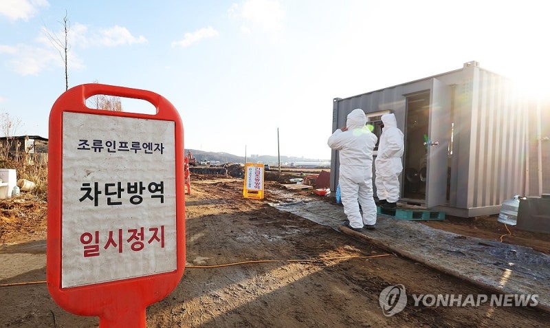 올 시즌 첫 <b>고병원성 AI</b>…경기 파주 토종닭 농장서 <b>발생</b>