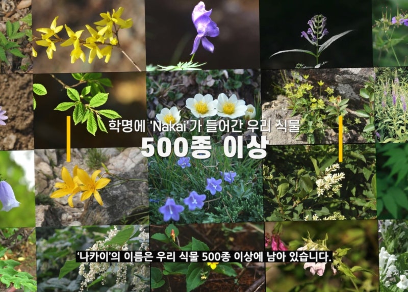 이수지-서경덕, <b>광복 80주년</b> '<b>식물 주권</b>' 알리는 영상 공개