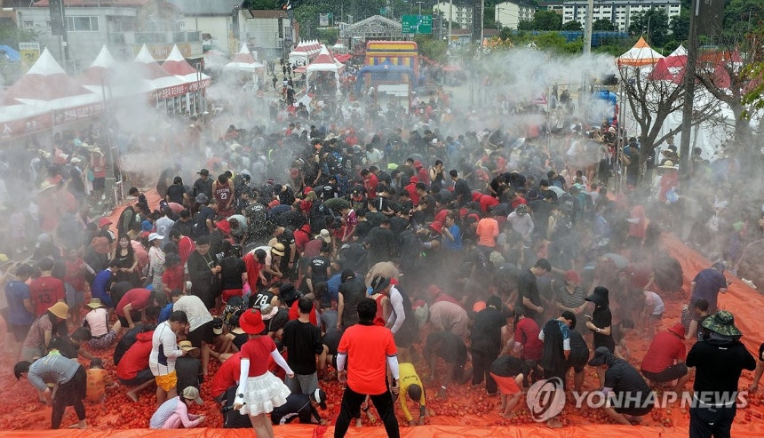 토마토축제 백미 '황금반지를 찾아라' 
[화천군 제공.재판매 및 DB 금지]