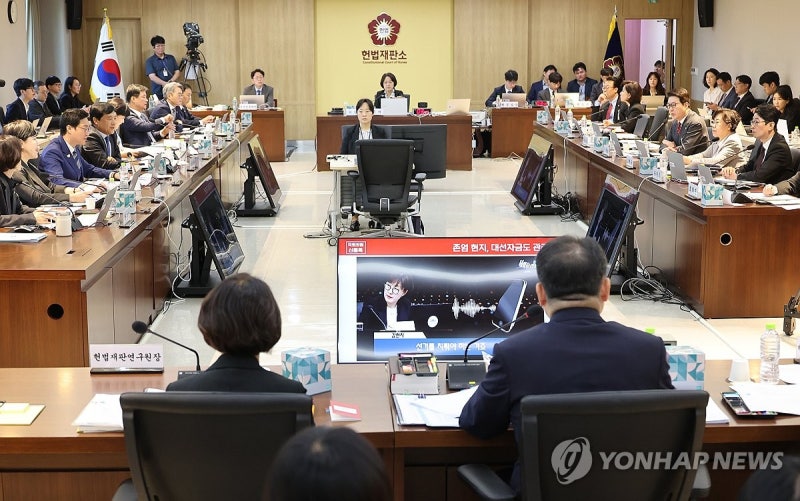 헌재 국감서 국힘 해산·<b>재판소원</b> 두고 또 충돌…고성·삿대질