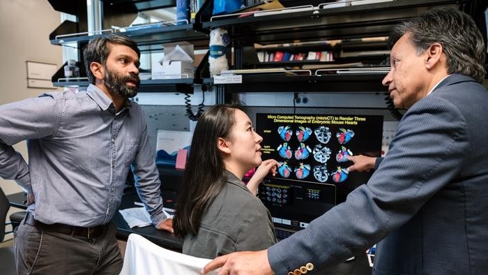 &quot;다운증후군에서 심장 기형 일으키는 핵심 유전자 찾았다&quot; &lt;br/&gt;연구팀은 다운증후군에서 선천성 심장 기형을 유발하는 유전자를 발견했다며 다운증후군 생쥐에서 이 유전자를 교정하면 선천성 심장 기형이 예방되는 것으로 확인됐다고