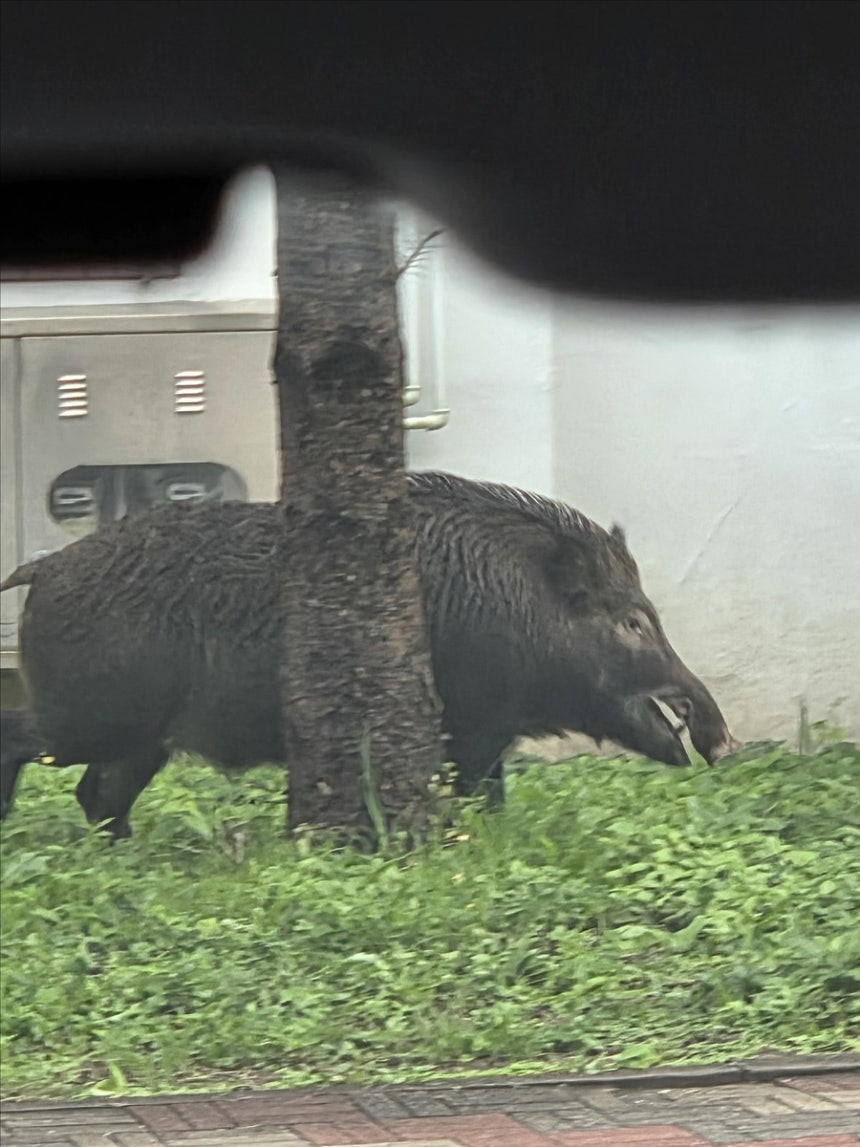 메인보드 슬롯 고장 전문가들이 알려주는 핵심 노하우 - 성공을 위한 필수 요소