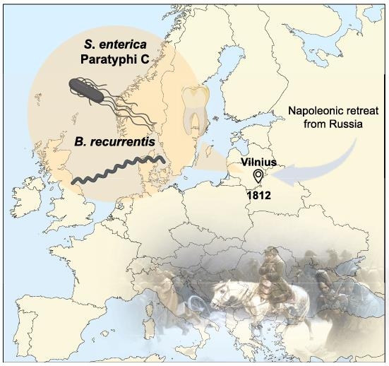 나폴레옹 군대 몰락 초래한 전염병은 