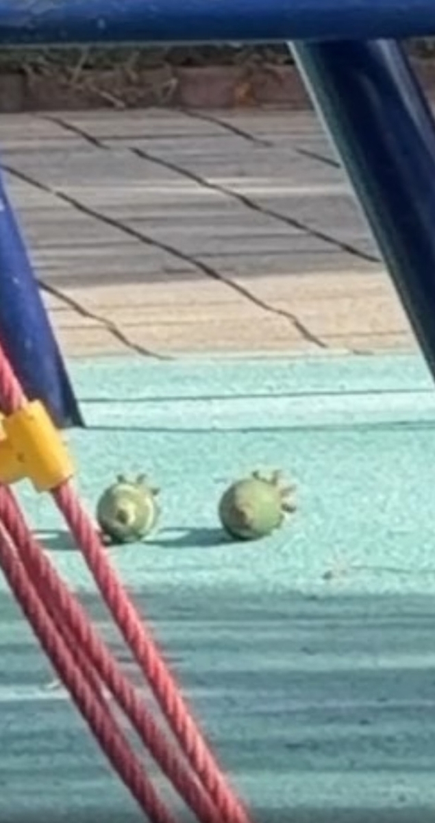 대전 어린이 놀이터서 발견된 훈련용 박격포탄
[독자제공]