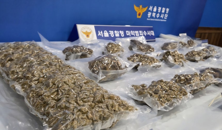 경찰이 압수한 대마 [서울경찰청 마약범죄수사대 제공. 재판매 및 DB 금지]