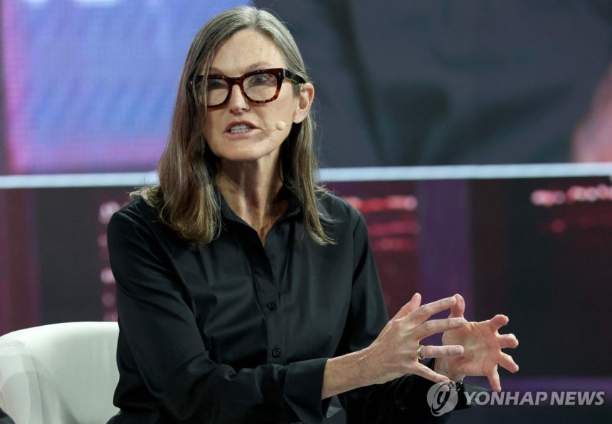 캐시 우드 아크인베스트먼트 최고경영자(CEO)
[AFP 연합뉴스 자료사진. 재판매 및 DB 금지]