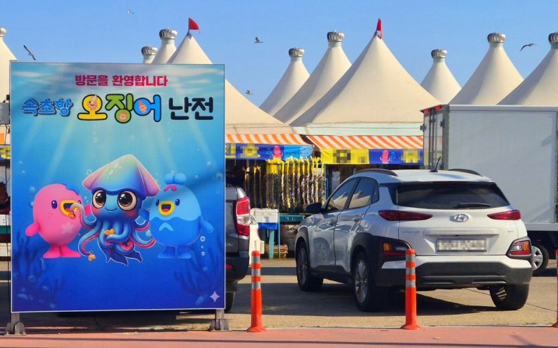 [현장] '불친절' 논란 딛고…겨울 별미로 돌아온 <b>속초 오징어난전</b>