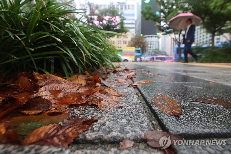 [<b>날씨</b>] 수도권·충청권 곳곳 빗방울…아침 최저 3~11도