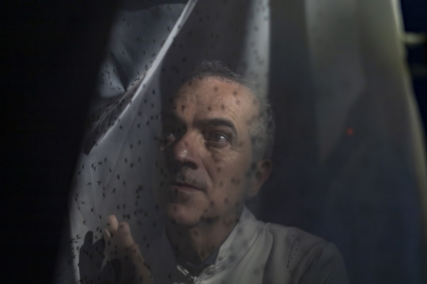 브라질 오스왈두 크루스 재산 루시아누 모레이라  &lt;br/&gt;[Gabriela Portilho for Nature 제공. 재판매 및 DB 금지]