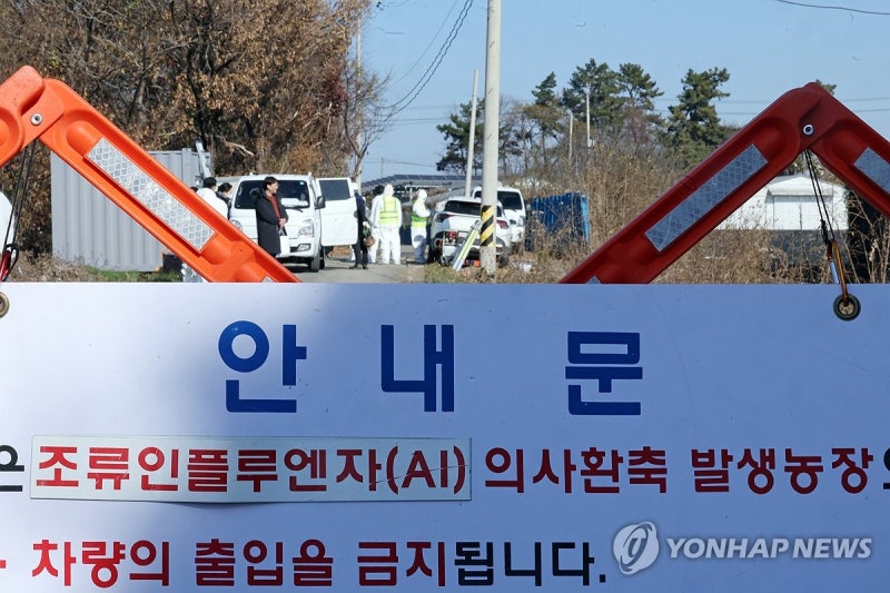 천안 <b>산란계 농장</b>에서 고병원성 <b>AI</b> 검출…3만여마리 살처분