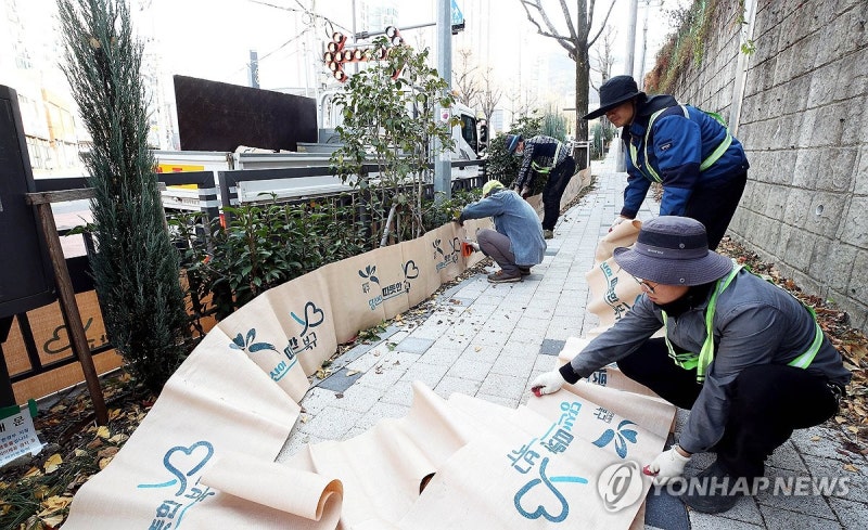 내일 '습기 많은 눈' 쏟아져…서울 2∼7㎝·강원내륙 15㎝↑