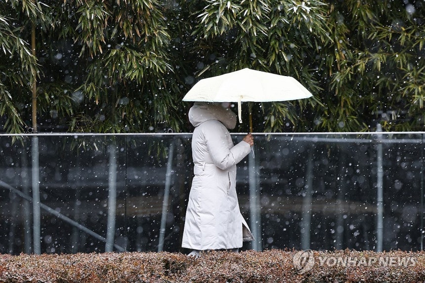 겨울에 나타난 우산 [연합뉴스 자료사진]