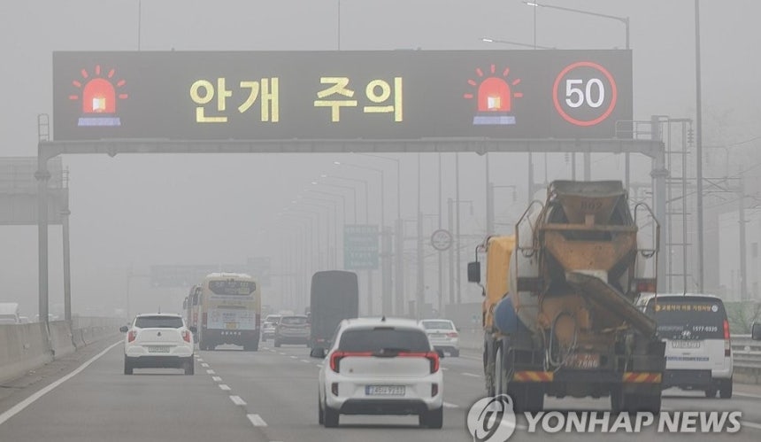 짙은 안개로 서행 운행 [연합뉴스 자료사진]