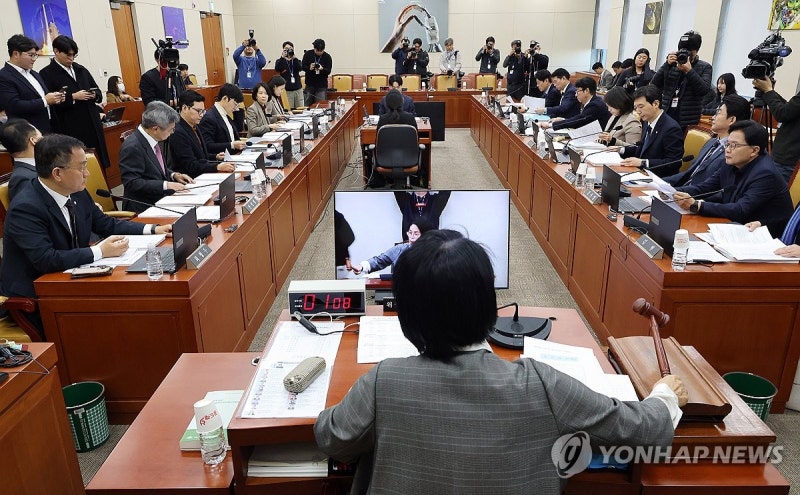 김범석 없는 쿠팡 청문회