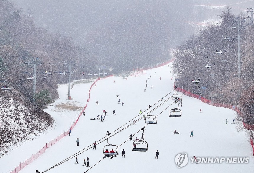 눈 내리는 스키장 [촬영 양지웅]