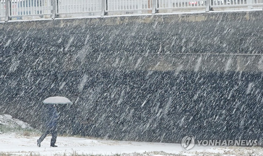 폭설 내리는 춘천
(춘천=연합뉴스) 양지웅 기자 = 강원 산지와 내륙 곳곳에 대설주의보가 발효된 23일 춘천시 도심 하천 인근에 폭설이 내리고 있다. 2025.12.23 yangd