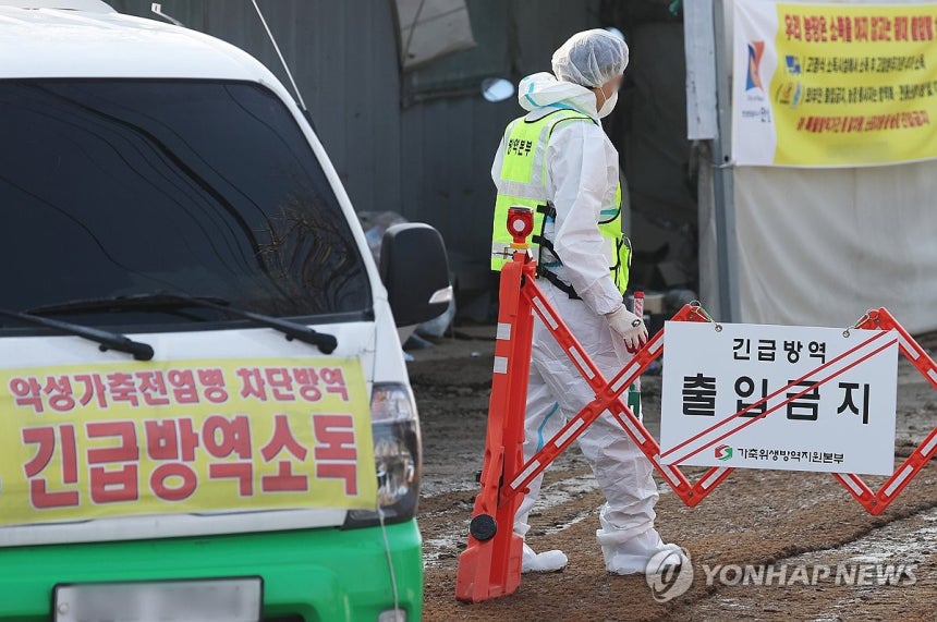 고병원성 조류인플루엔자 발생 농장 출입 통제 (안성=연합뉴스) 홍기원 기자 = 지난 16일 H5N1형 고병원성 조류인플루엔자 확진 판정을 받은 경기도 안성시 한 산란계 농장 출입이 17일 통제되고 있다.2025.1