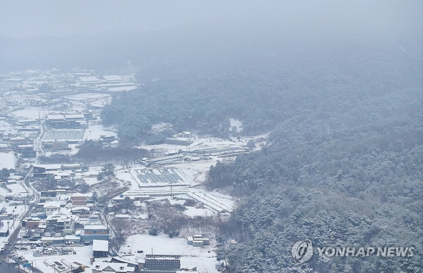 설국이 된 춘천 [연합뉴스 자료사진]