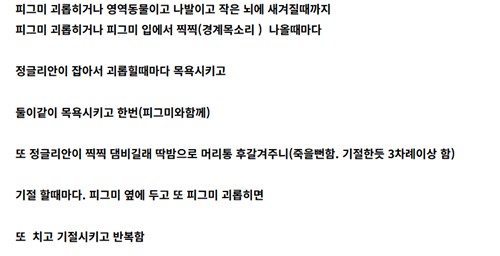 A씨가 네이버 카페에 작성한 글.[네이버 카페 캡처.재판매 및 DB 금지]