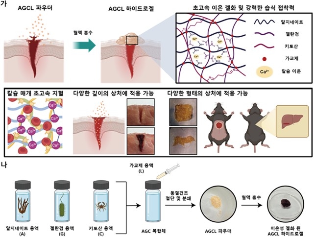 AGCL 파우더 개발 전략과 제작 개략도 [한국과학기술원(KAIST) 제공.재판매 및 DB 금지] 