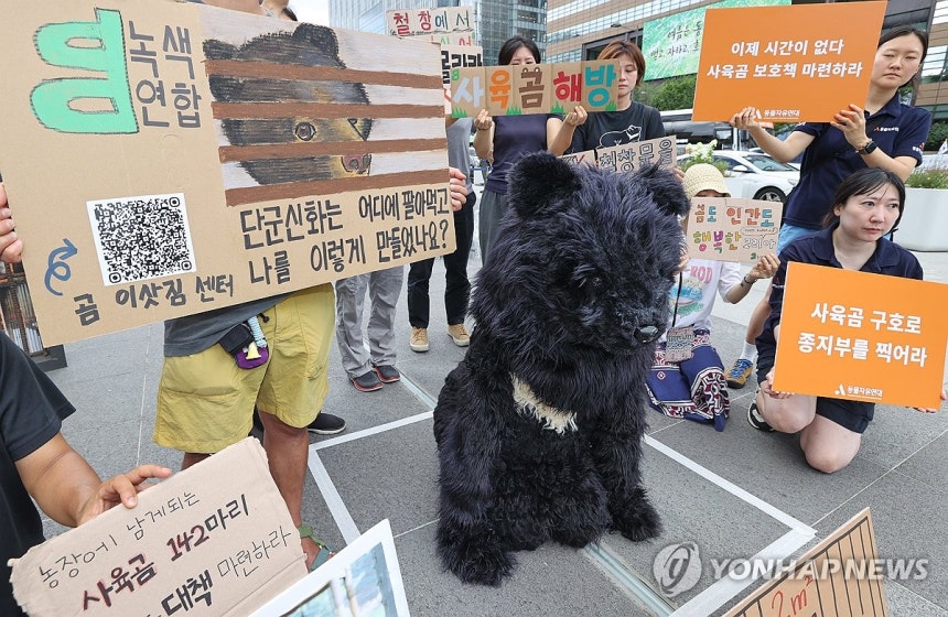 환경부에 사육곰 산업 종식까지 책임 촉구 (서울=연합뉴스) 이재희 기자 = 녹색연합 등 시민단체들이 22일 서울 광화문광장 이순신 동상 앞에서 열린 '곰 사육 산업 종식에 환경부의 책임있는 자세 촉구' 기자회견에서 