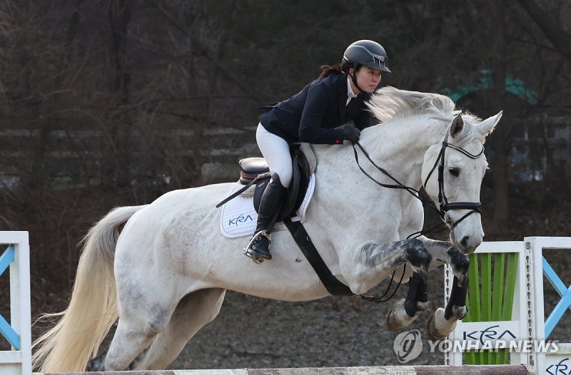 말의 해가 반갑다