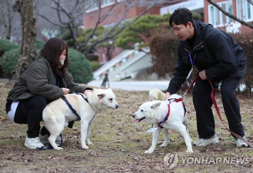 광주 우치동물원에서 생활하는 곰이·송강 [연합뉴스 자료사진]