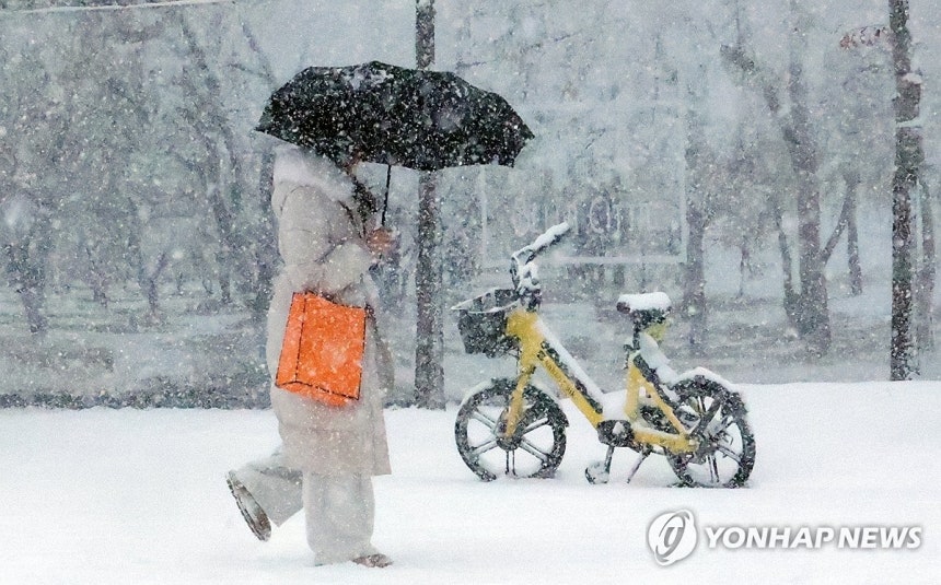 눈 내리는 거리를 걷고 있는 시민 [연합뉴스 자료사진]