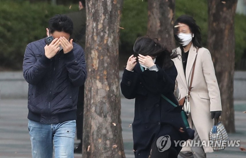 '강풍이 너무해' [연합뉴스 자료사진]