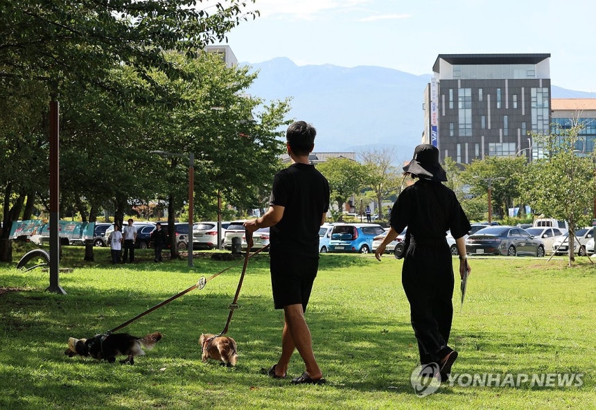 댕댕이와의 산책 지난해 9월 12일 오전 제주시 도남동 시민복지타운에서 열린 제주 반려동물 문화산업 한마당에서 견주와 반려견들이 잔디밭을 산책하고 있다.[연합뉴스 자료사진]