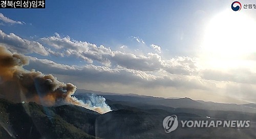 This photo, provided by the Korea Forest Service, shows a wildfire that broke out in Uiseong County,