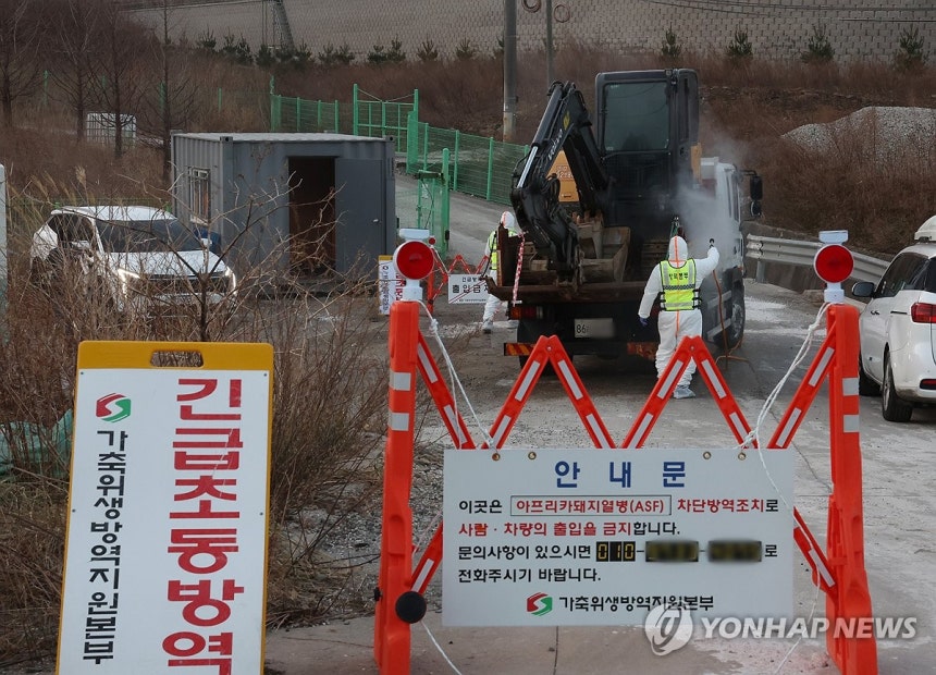 강릉 양돈농가서 아프리카돼지열병 발생 (강릉=연합뉴스) 양지웅 기자 = 17일 아프리카돼지열병(ASF) 발생이 확인된 강원 강릉시 한 양돈농가에서 방역 관계자들이 출입을 통제하고 있다.2026.1.17 yangdo
