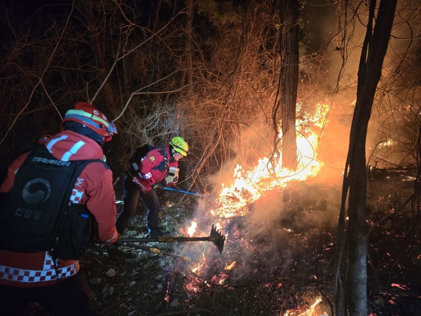 기장 산불 진화작업 [산림청 제공.재판매 및 DB금지]
