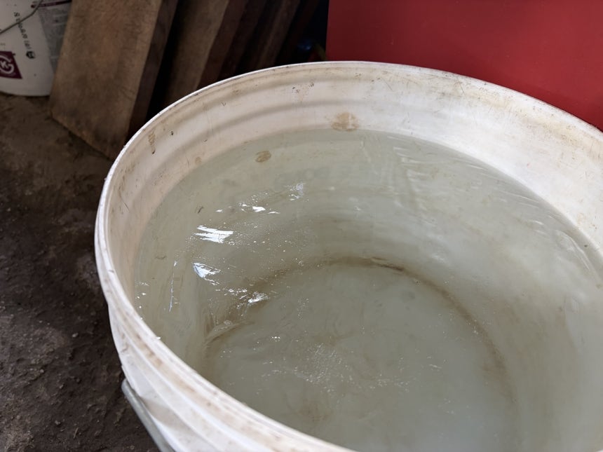 살얼음 낀 물통 [촬영 장지현]