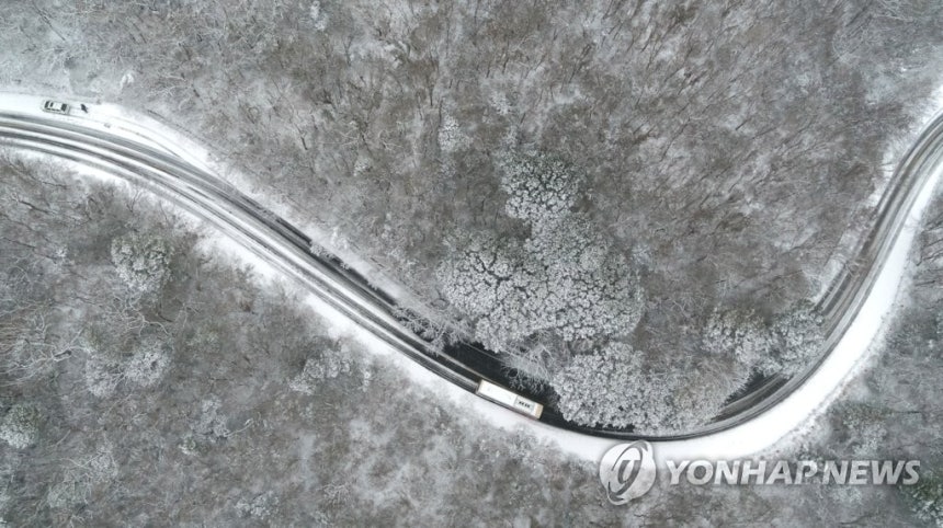 한라산 관통하는 516도로의 겨울 [연합뉴스 자료사진]