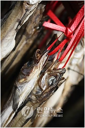 명태
[연합뉴스 자료사진]