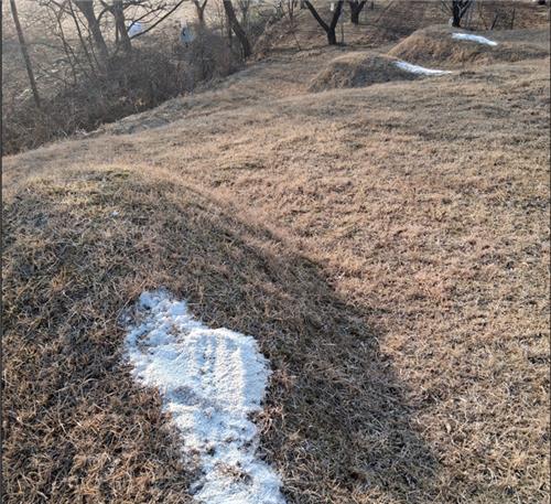 소금 뿌려진 묘소 [독자 제공. 재판매 및 DB 금지]