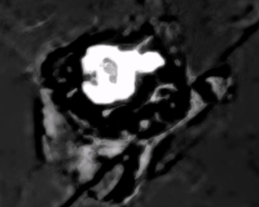 ��ȭ�� ī�޶� ���� ġ�ų���
[���Ϻΰ���û ����. ���Ǹ� �� DB ����]