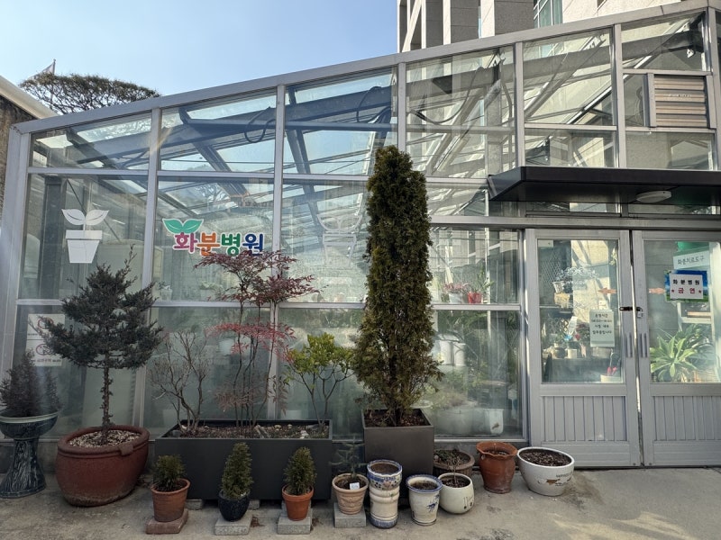 식물병원 있는 '유잼대전'…"치료부터 입원까지 무료로"