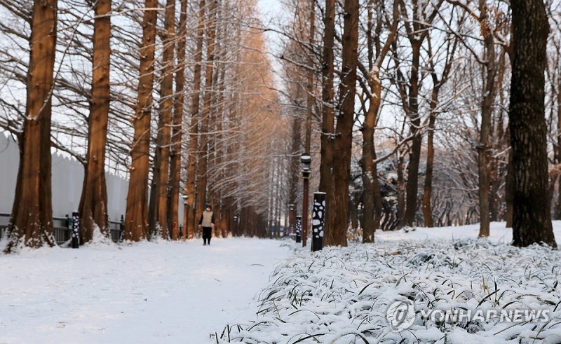 [오늘날씨] 설 연휴 셋째 날, 강원산지·동해안 많은 눈…미세먼지 '좋음'